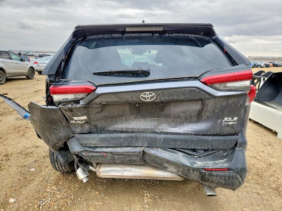 49810056 :رقم المزاد ، 2T3RWRFV3SW252885 vin ، 2025 Toyota Rav4 Hybrid مزاد بيع