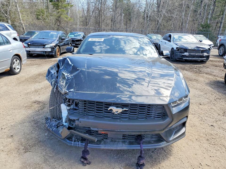 50737306 :رقم المزاد ، 1FA6P8TH5R5134045 vin ، 2024 Ford Mustang مزاد بيع