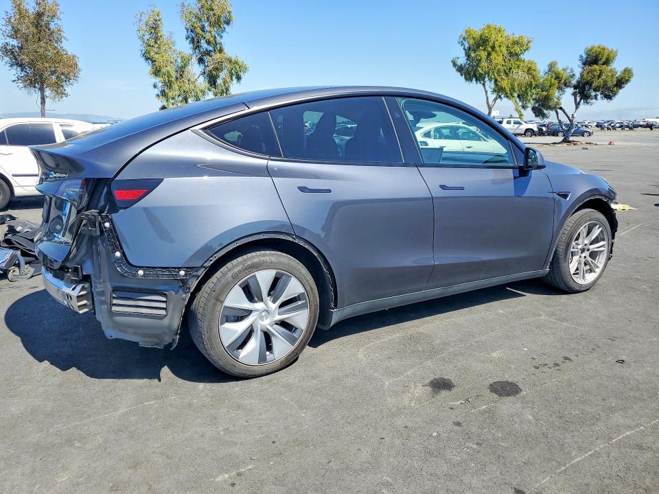Продаж на аукціоні авто 2023 Tesla Model Y, vin: 7SAYGDEE5PF862736, номер лоту: 48984036