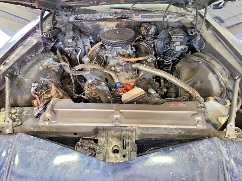 51246346 :رقم المزاد ، 1G1AP87L2BN129242 vin ، 1981 Chevrolet Camaro مزاد بيع