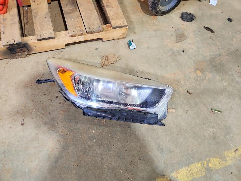 2017 Ford Escape მანქანა იყიდება აუქციონზე, vin: 1FMCU0GD7HUD27893, აუქციონის ნომერი: 50074716