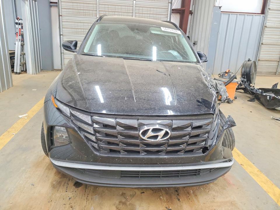 Продажа на аукционе авто 2024 Hyundai Tucson, vin: 5NMJBCDE5RH342014, номер лота: 50731636