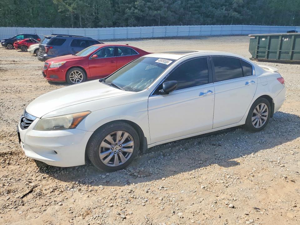 48939556 :رقم المزاد ، 1HGCP3F84BA025134 vin ، 2011 Honda Accord مزاد بيع