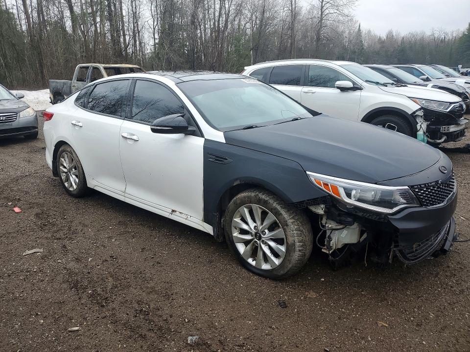 Aukcja sprzedaży 2016 Kia Optima, vin: 5XXGU4L31GG062676, numer aukcji: 50253046