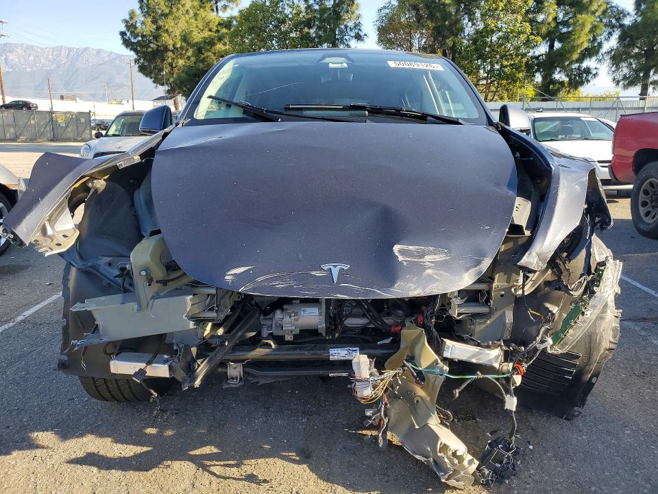 50089126 :رقم المزاد ، 7SAYGAEE5RF064092 vin ، 2024 Tesla Model Y مزاد بيع