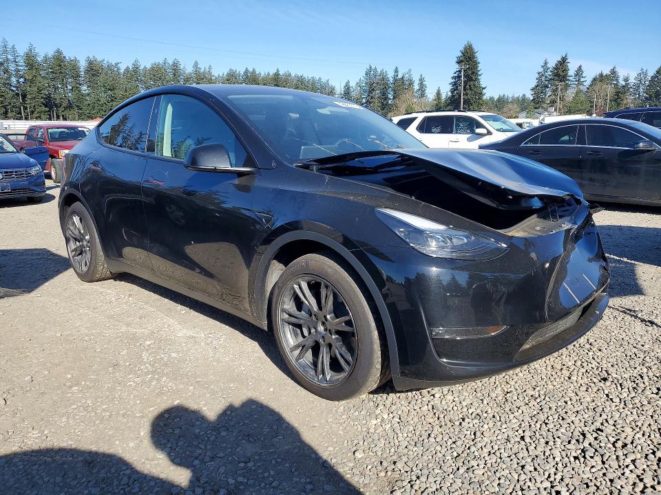 Продаж на аукціоні авто 2025 Tesla Model Y, vin: 7SAYGAEEXSF241127, номер лоту: 48635776