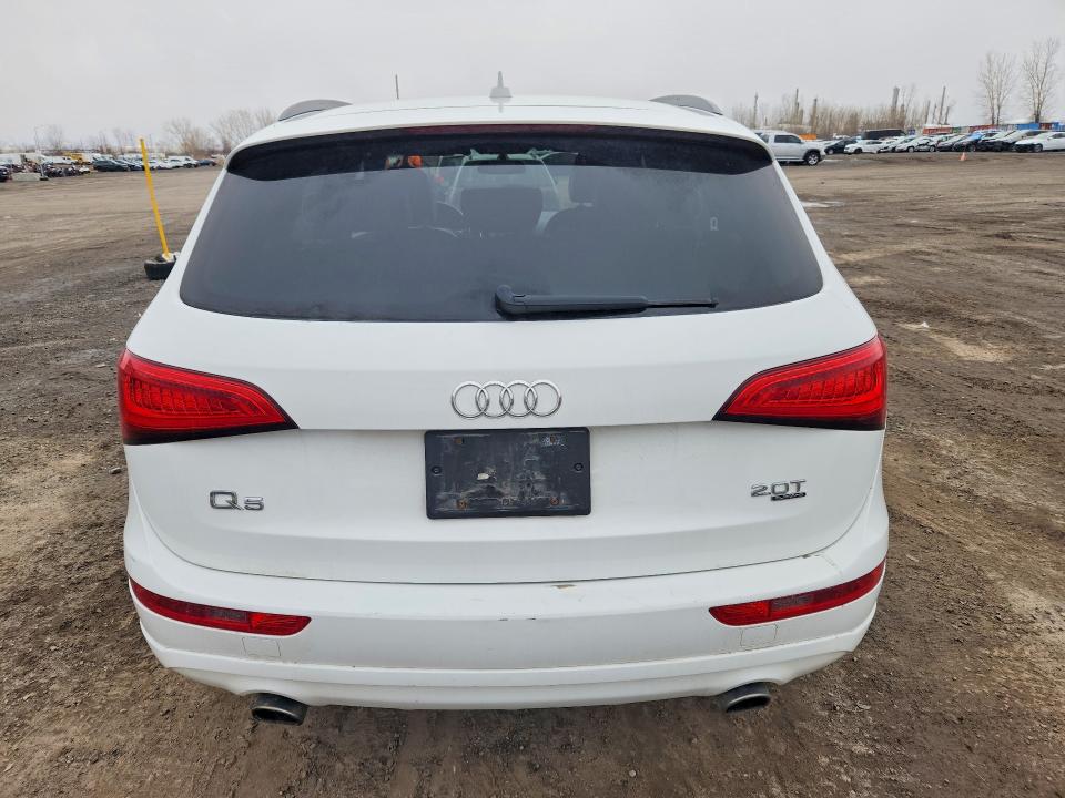 2013 Audi Q5 მანქანა იყიდება აუქციონზე, vin: WA1CFCFP1DA013576, აუქციონის ნომერი: 48668486