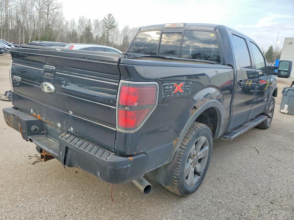 Продаж на аукціоні авто 2011 Ford F150, vin: 1FTFW1ET1BFA52786, номер лоту: 48259456