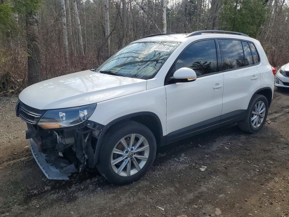 Продажа на аукционе авто 2014 Volkswagen Tiguan, vin: WVGJV3AX2EW531042, номер лота: 50453116