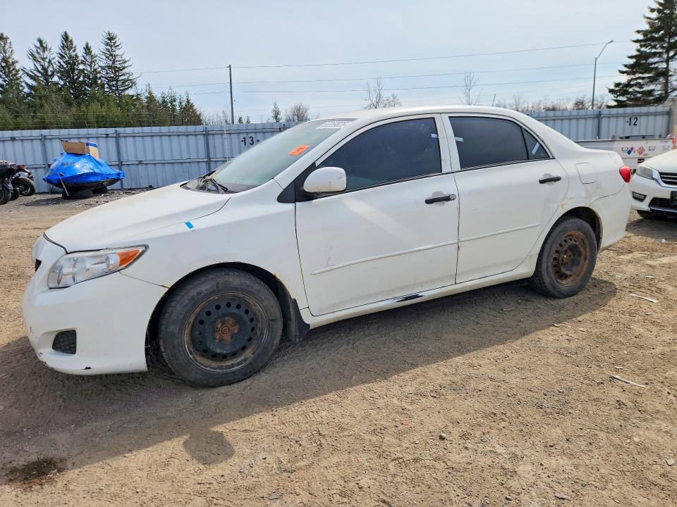 Продаж на аукціоні авто 2010 Toyota Corolla, vin: 2T1BU4EE7AC231459, номер лоту: 50369826
