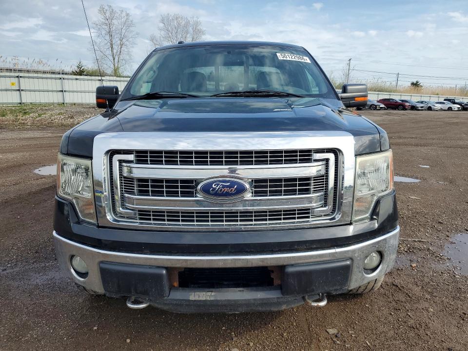 50122986 :رقم المزاد ، 1FTFX1ET6DFD99868 vin ، 2013 Ford F150 مزاد بيع