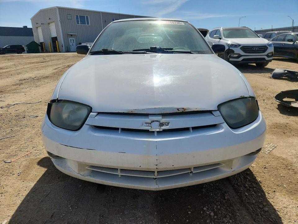 51788736 :رقم المزاد ، 1G1JF52F257156341 vin ، 2005 Chevrolet Cavalier مزاد بيع