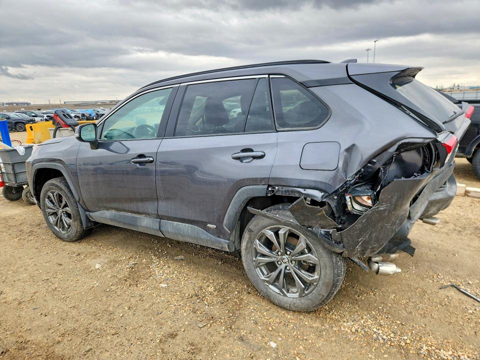 49810056 :رقم المزاد ، 2T3RWRFV3SW252885 vin ، 2025 Toyota Rav4 Hybrid مزاد بيع