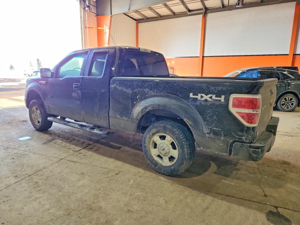 2011 Ford F150 მანქანა იყიდება აუქციონზე, vin: 1FTFX1EF7BFC21880, აუქციონის ნომერი: 48360146