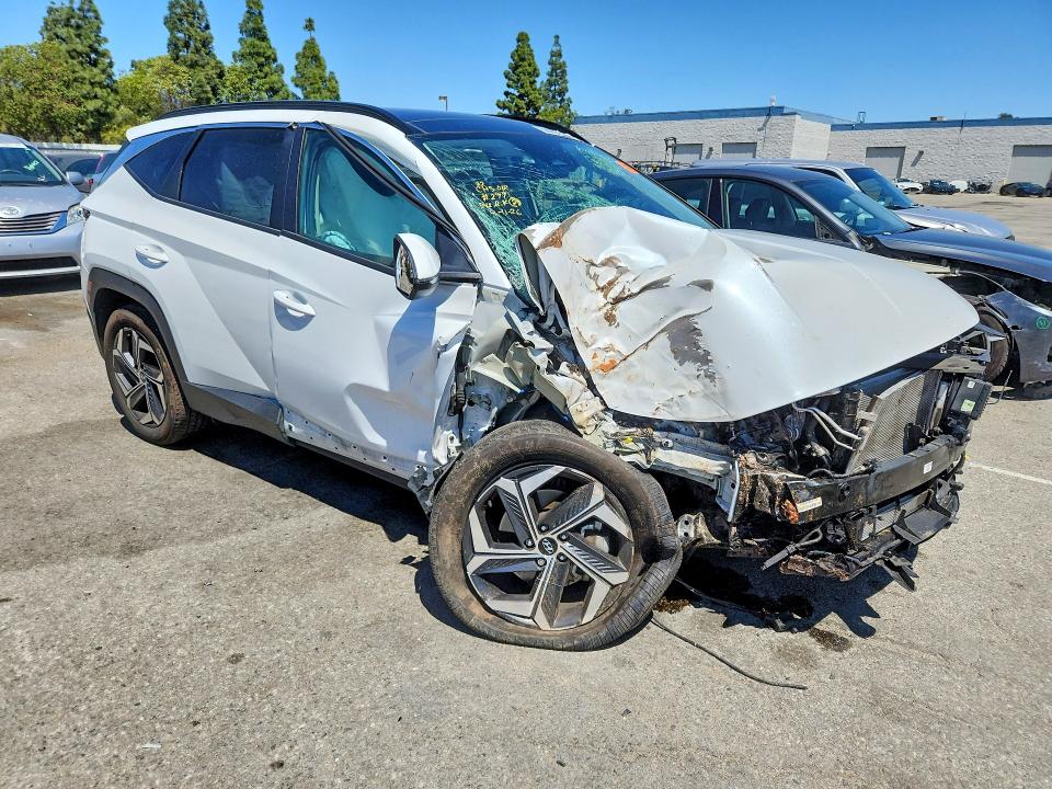 Aukcja sprzedaży 2024 Hyundai Tucson, vin: KM8JCCD10RU227965, numer aukcji: 50006606