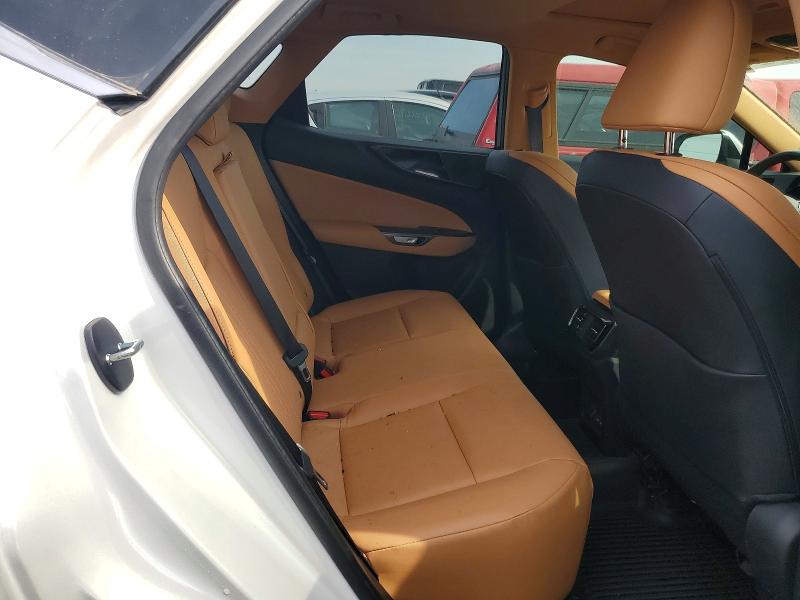 48695036 :رقم المزاد ، 2T2AGCEZ3SC061260 vin ، 2025 Lexus Nx 350 مزاد بيع