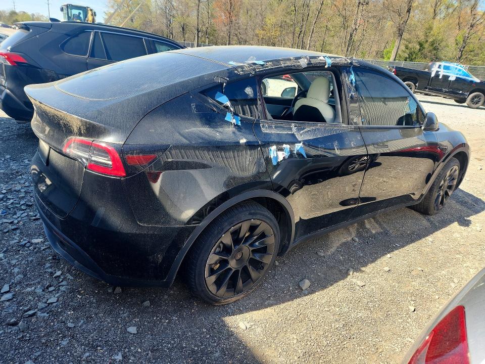 49056546 :رقم المزاد ، 5YJYGDED8MF132724 vin ، 2021 Tesla Model Y مزاد بيع
