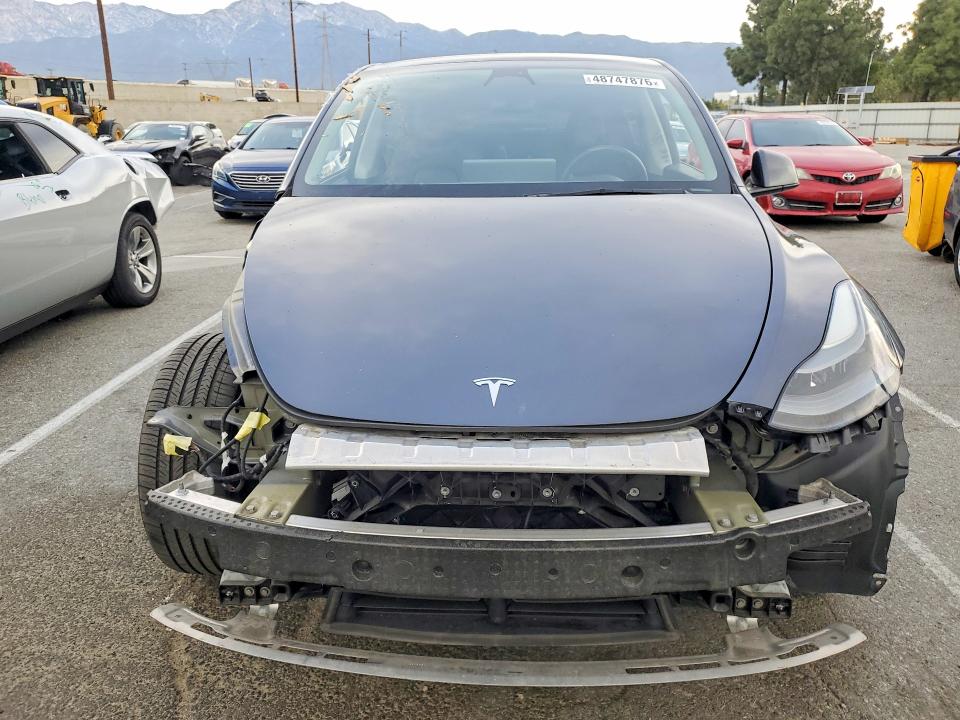 Продаж на аукціоні авто 2023 Tesla Model Y, vin: 7SAYGDEFXPF582299, номер лоту: 48747876
