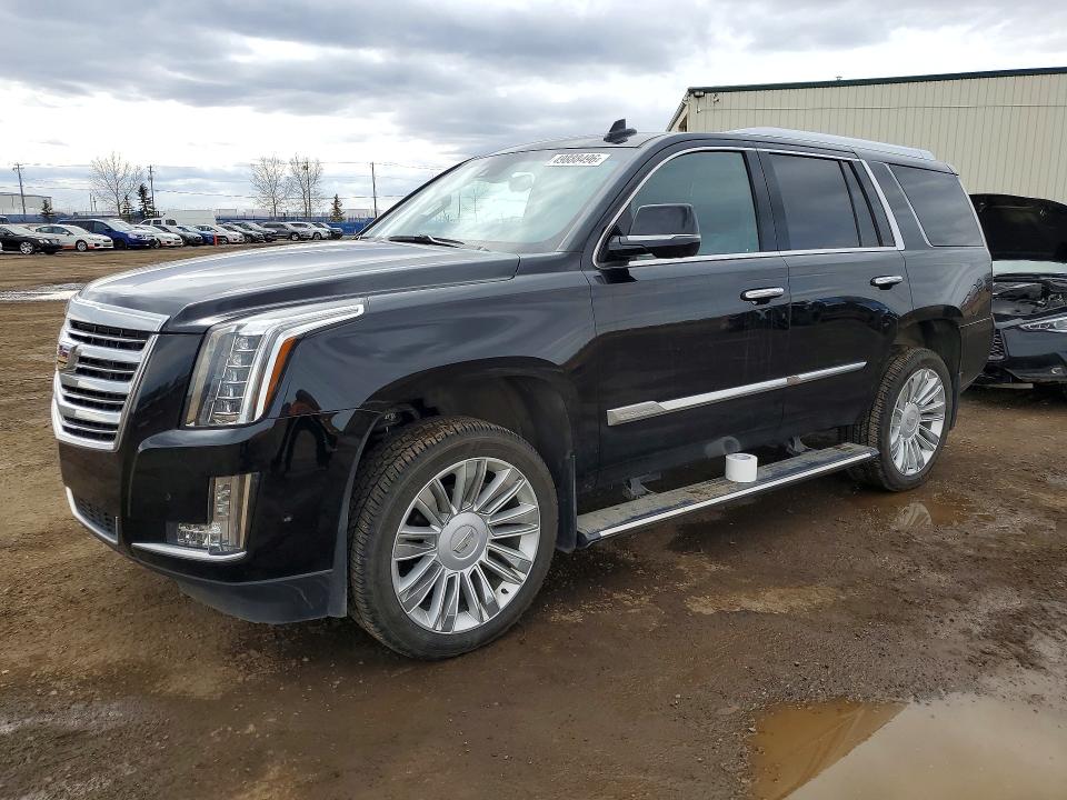 Auction sale of the 2017 Cadillac Escalade, vin: 1GYS4DKJ1HR361250, lot number: 49888496