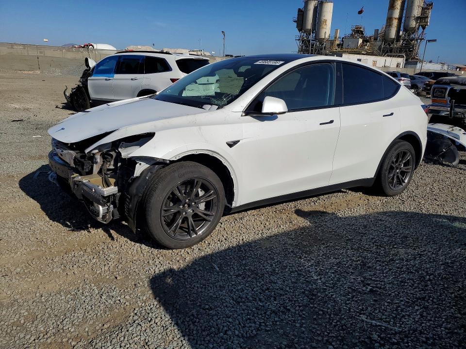 Aukcja sprzedaży 2024 Tesla Model Y, vin: 7SAYGDEE2RF179539, numer aukcji: 49685186