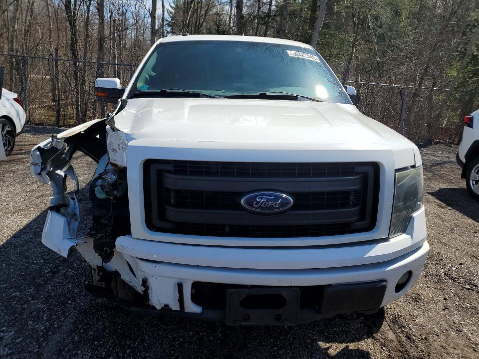 50423846 :رقم المزاد ، 1FTFW1EF8EFB78500 vin ، 2014 Ford F150 مزاد بيع