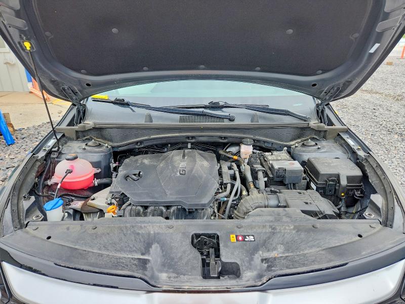 51304156 :رقم المزاد ، 5XYK53DF2RG195164 vin ، 2024 Kia Sportage مزاد بيع