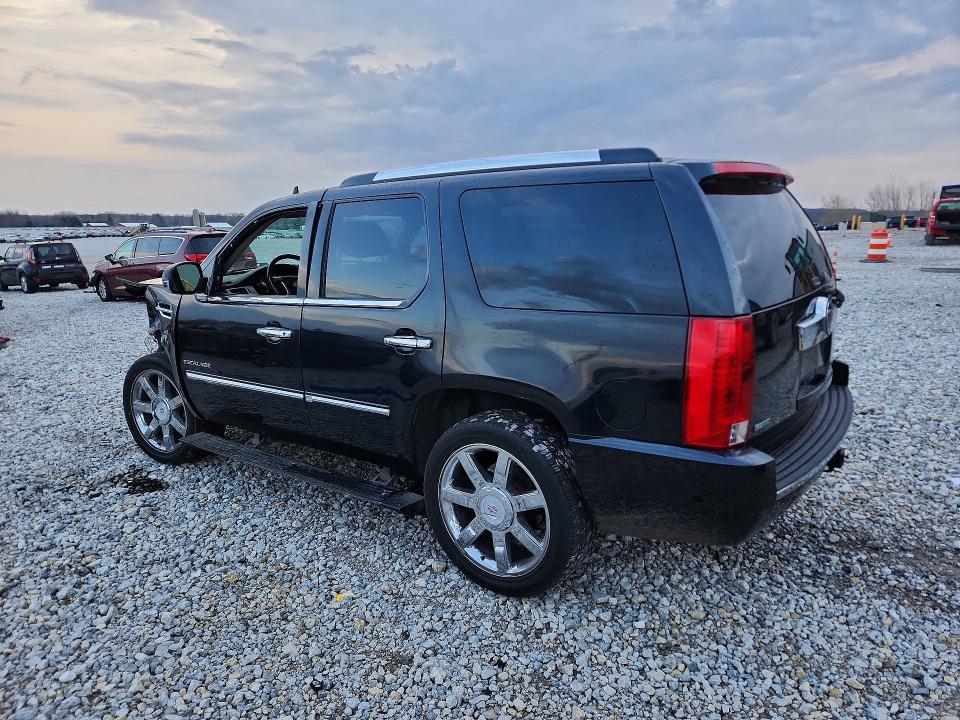 Продаж на аукціоні авто 2010 Cadillac Escalade, vin: 1GYUKCEF4AR194436, номер лоту: 49485956