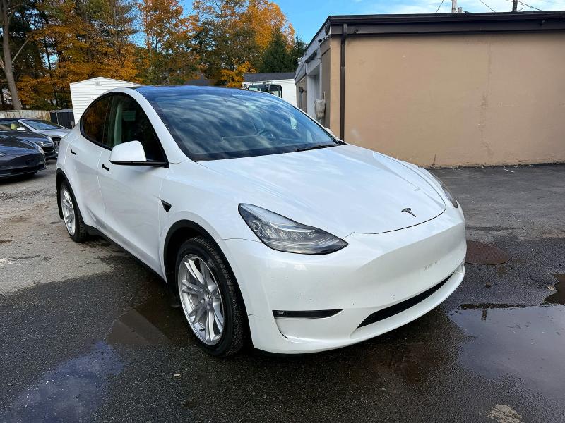 51419366 :رقم المزاد ، 5YJYGDEE5MF295078 vin ، 2021 Tesla Model Y مزاد بيع