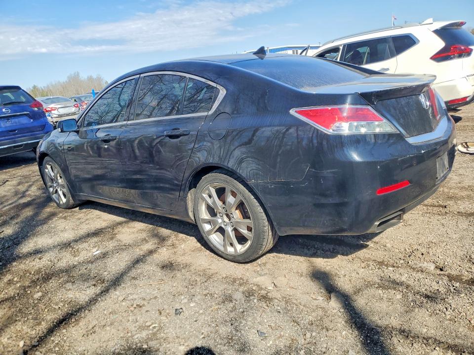 Продажа на аукционе авто 2013 Acura Tl, vin: 19UUA9F75DA800706, номер лота: 50825836