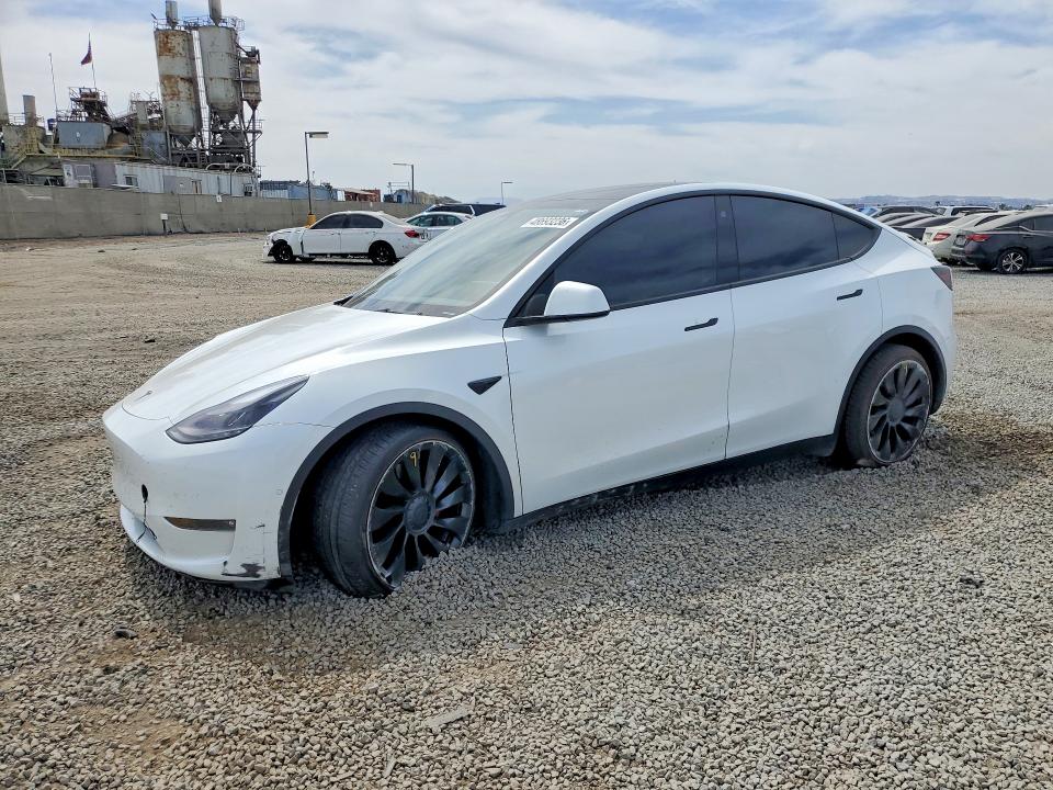 Продаж на аукціоні авто 2022 Tesla Model Y, vin: 7SAYGDEF7NF486532, номер лоту: 48693236