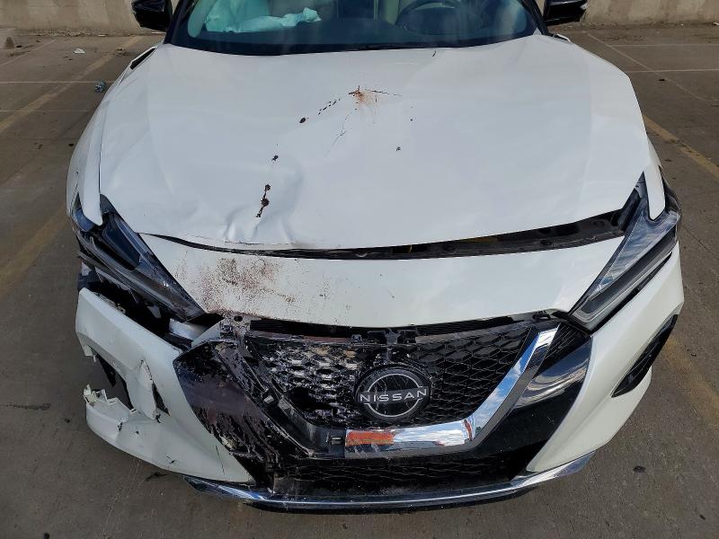 Aukcja sprzedaży 2023 Nissan Maxima, vin: 1N4AA6FV5PC503531, numer aukcji: 50328586