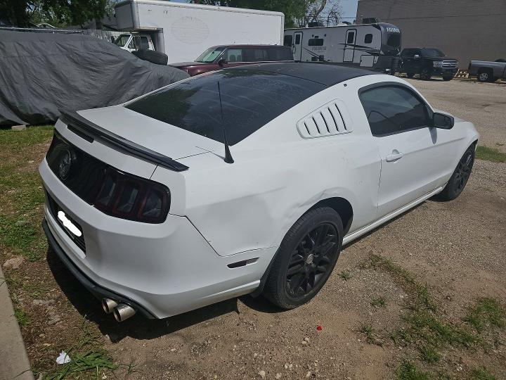 49283166 :رقم المزاد ، 1ZVBP8AM5E5332723 vin ، 2014 Ford Mustang مزاد بيع