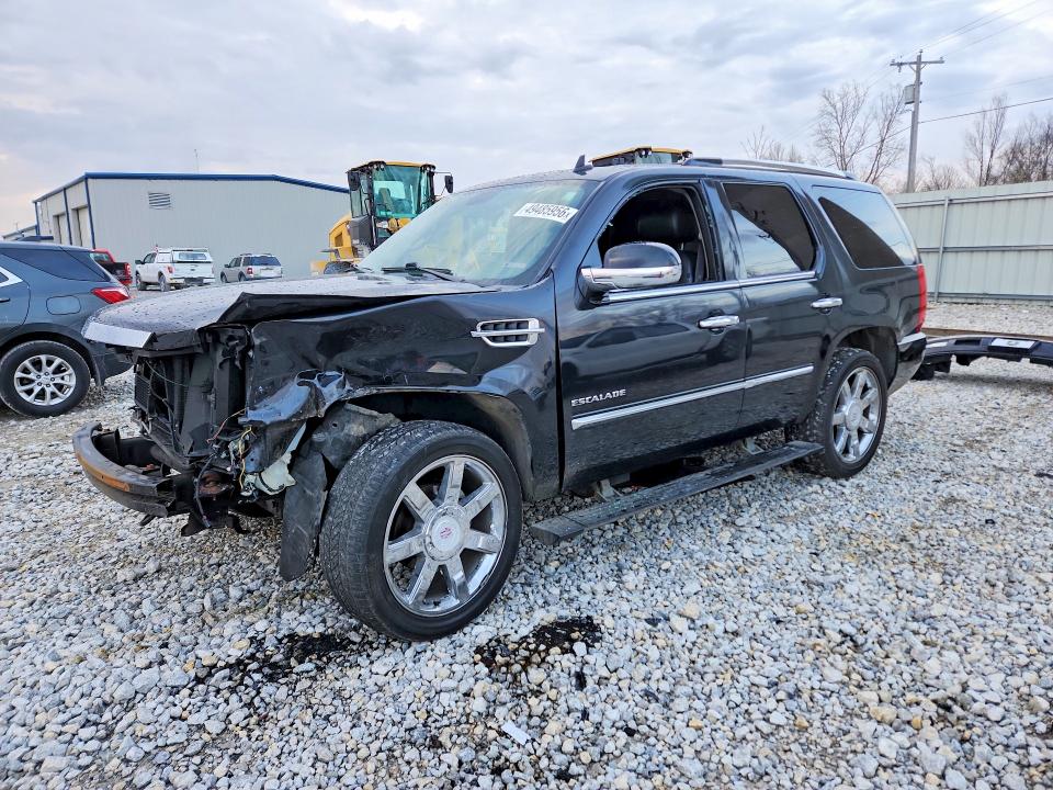 2010 Cadillac Escalade მანქანა იყიდება აუქციონზე, vin: 1GYUKCEF4AR194436, აუქციონის ნომერი: 49485956