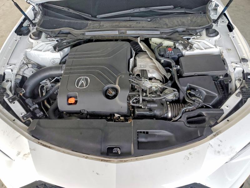 Продаж на аукціоні авто 2023 Acura Tlx, vin: 19UUB7F95PA000950, номер лоту: 49845396