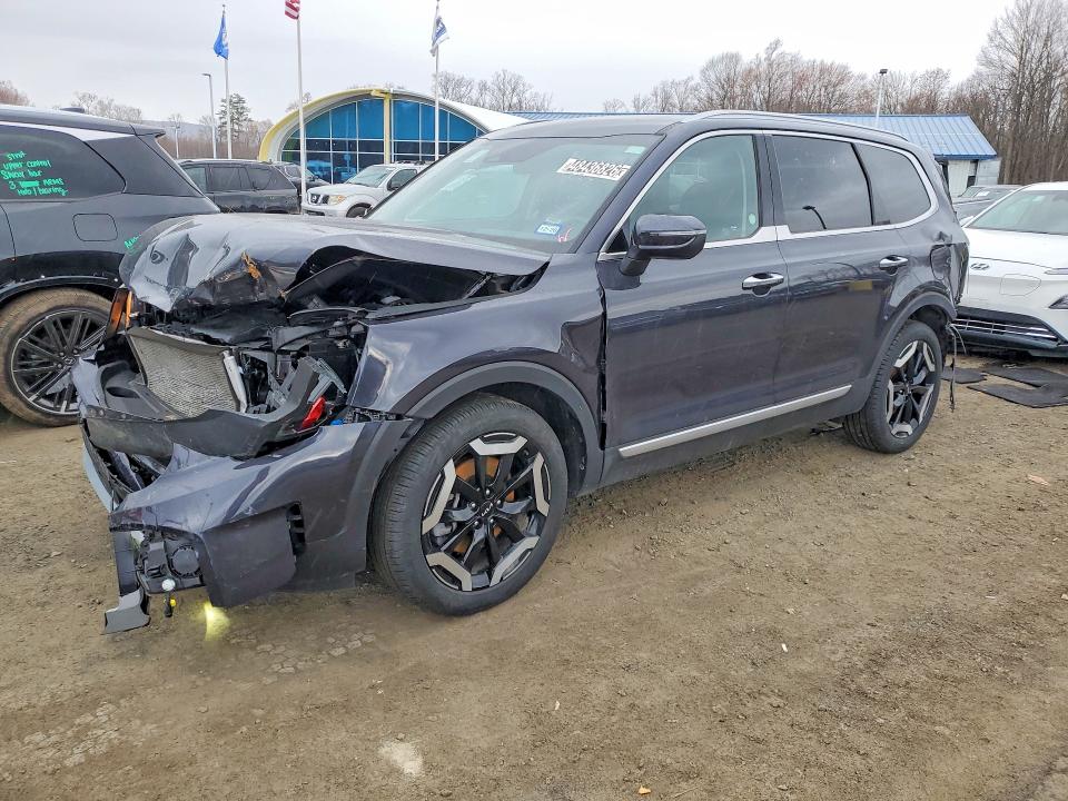 Aukcja sprzedaży 2025 Kia Telluride, vin: 5XYP6DGC6SG604380, numer aukcji: 48436826