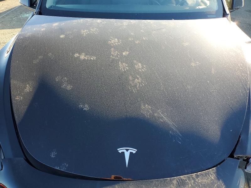 Продаж на аукціоні авто 2025 Tesla Model Y, vin: 7SAYGDED9SF234789, номер лоту: 49007296