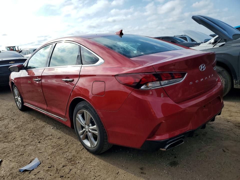 Продаж на аукціоні авто 2019 Hyundai Sonata, vin: 5NPE34AF9KH821319, номер лоту: 50804706