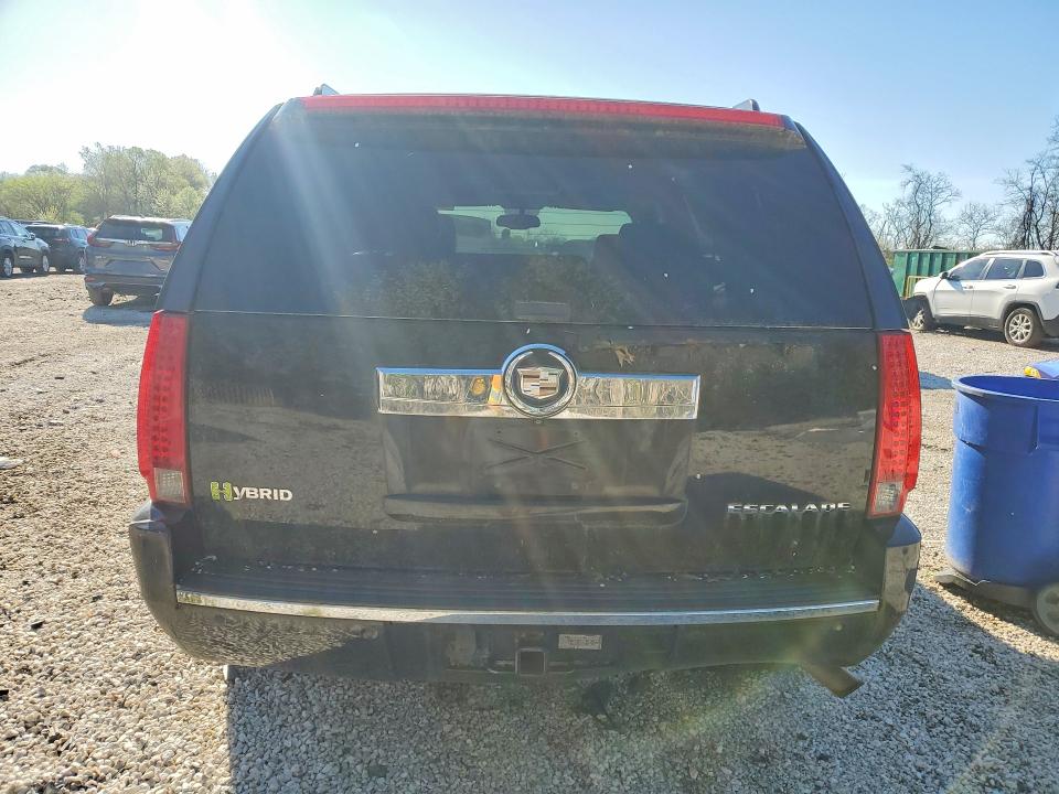 Продажа на аукционе авто 2010 Cadillac Escalade, vin: 1GYUKEEJXAR211403, номер лота: 48514976