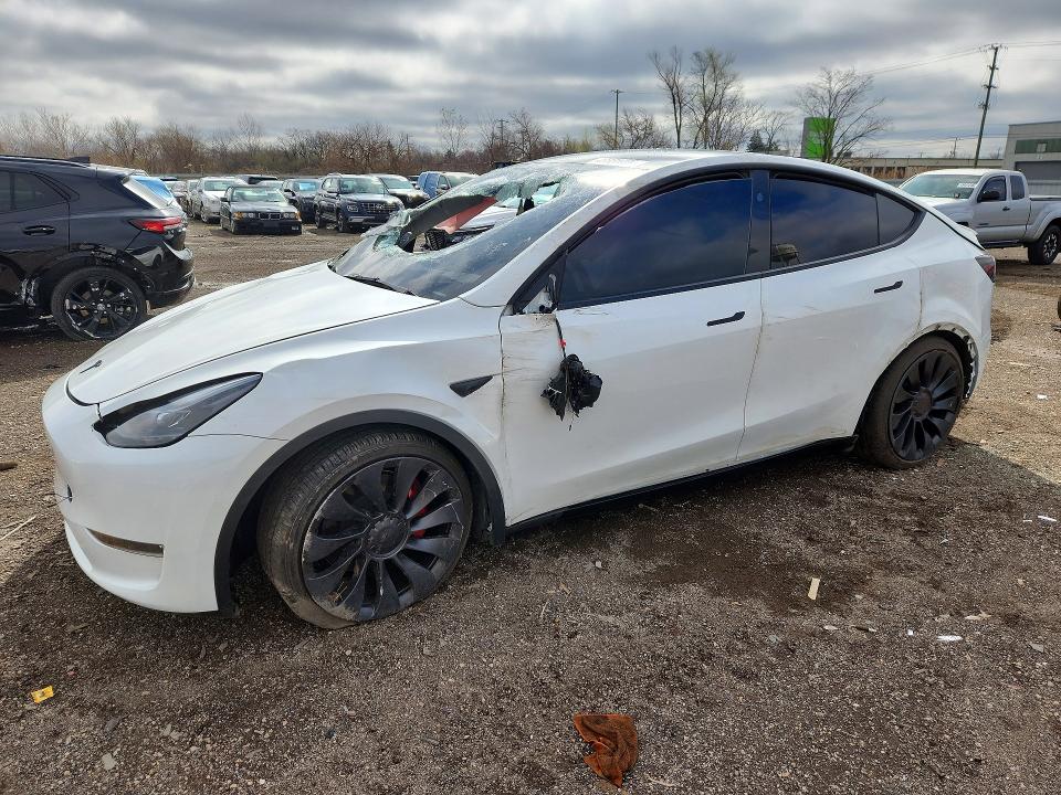 Продаж на аукціоні авто 2025 Tesla Model Y, vin: 7SAYGDEF6SA353611, номер лоту: 48331086