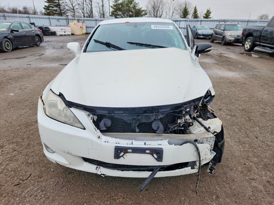 49555956 :رقم المزاد ، JTHBK262095086643 vin ، 2009 Lexus Is مزاد بيع