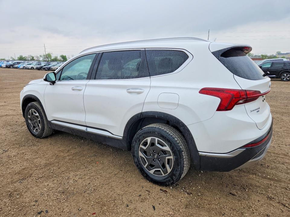 Продаж на аукціоні авто 2021 Hyundai Santa Fe, vin: KM8S2DA16MU010642, номер лоту: 51683376