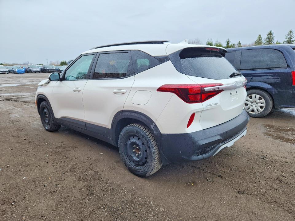Auction sale of the 2023 Kia Seltos, vin: KNDEP2AA8P7445298, lot number: 51859406