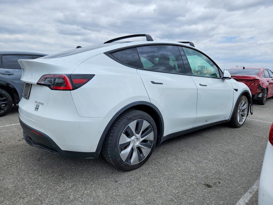 51377256 :رقم المزاد ، 5YJYGDEE2MF081679 vin ، 2021 Tesla Model Y مزاد بيع