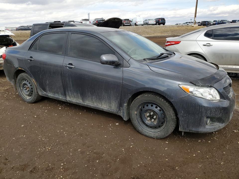 Продаж на аукціоні авто 2009 Toyota Corolla, vin: 2T1BU40E59C091530, номер лоту: 48688966