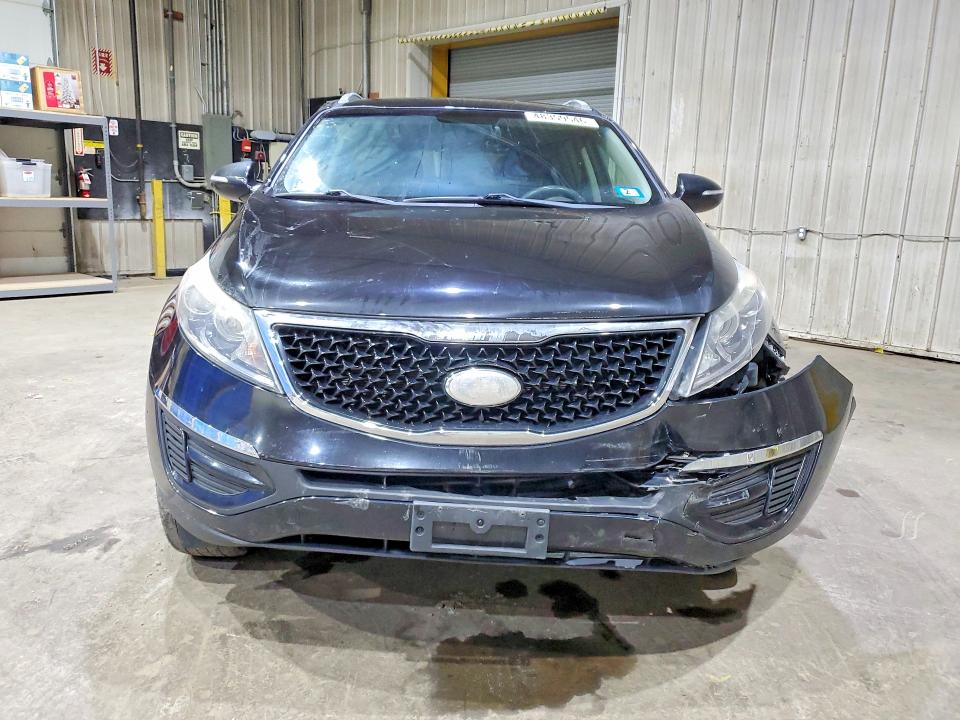 Продаж на аукціоні авто 2014 Kia Sportage, vin: KNDPBCAC5E7564616, номер лоту: 48359546