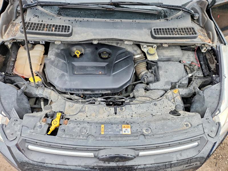 Продажа на аукционе авто 2014 Ford Escape, vin: 1FMCU0G9XEUD54156, номер лота: 51632636