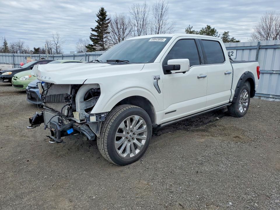 2023 Ford F150 მანქანა იყიდება აუქციონზე, vin: 1FTFW1ED9PFD15252, აუქციონის ნომერი: 49843806