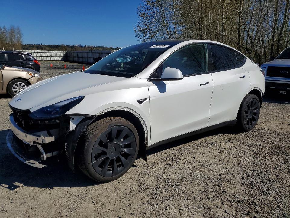 Продажа на аукционе авто 2024 Tesla Model Y, vin: 7SAYGDEE4RF126583, номер лота: 48715706