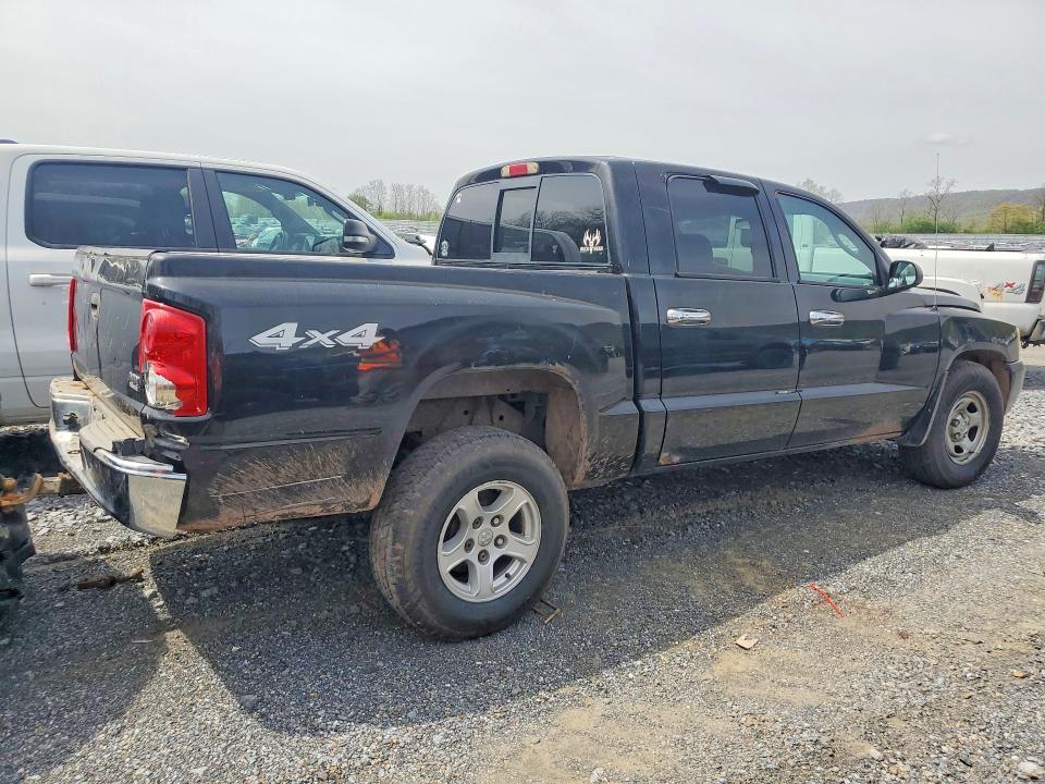 Продаж на аукціоні авто 2005 Dodge Dakota, vin: 1D7HW48N25S219892, номер лоту: 49943276