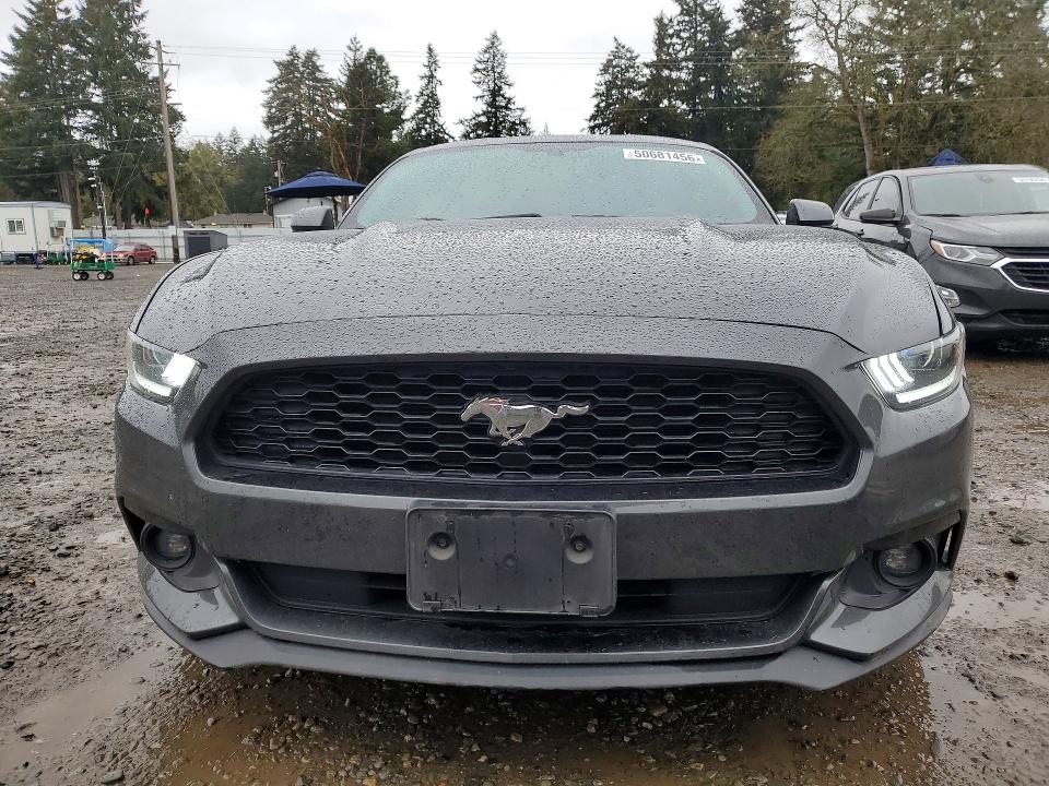 Продаж на аукціоні авто 2017 Ford Mustang, vin: 1FA6P8TH0H5318968, номер лоту: 50681456